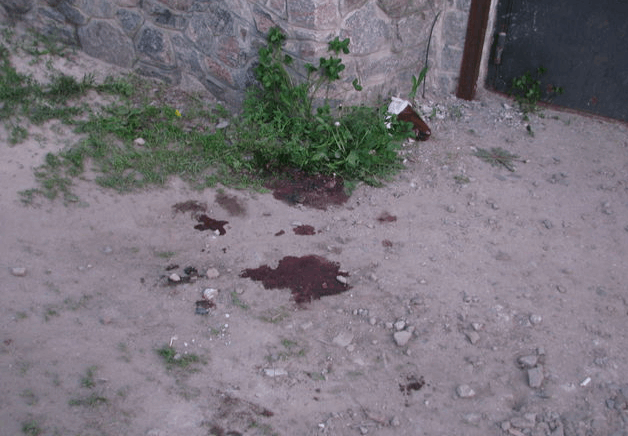  Дело харьковского террориста: опубликованы фото с места убийства 