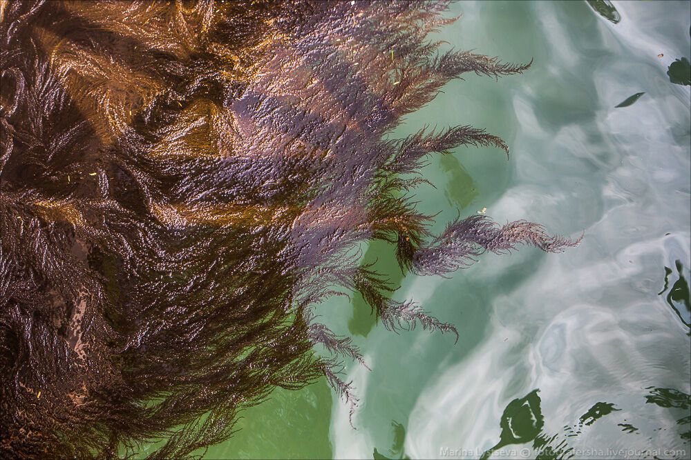 Венеция 25.05.2015