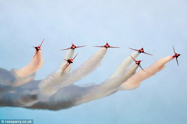Птица очень смешно зафотобомбила полет группы ВВС Британии