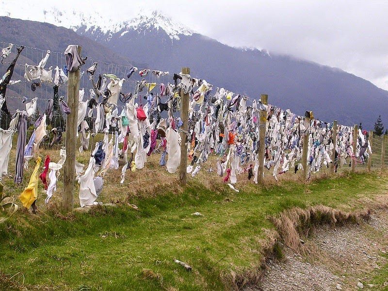 Женские прелести: в Новой Зеландии стоит забор с тысячами лифчиков