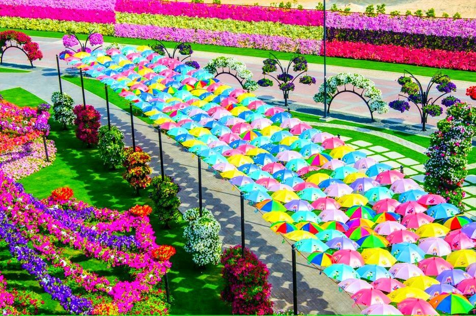 Цветочный рай среди пустыни: фото потрясающего сада в Дубае
