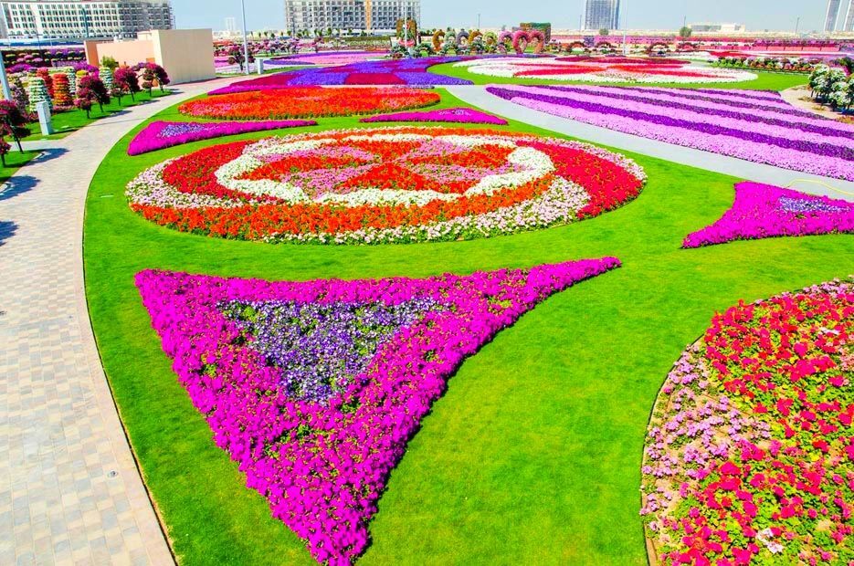 Цветочный рай среди пустыни: фото потрясающего сада в Дубае