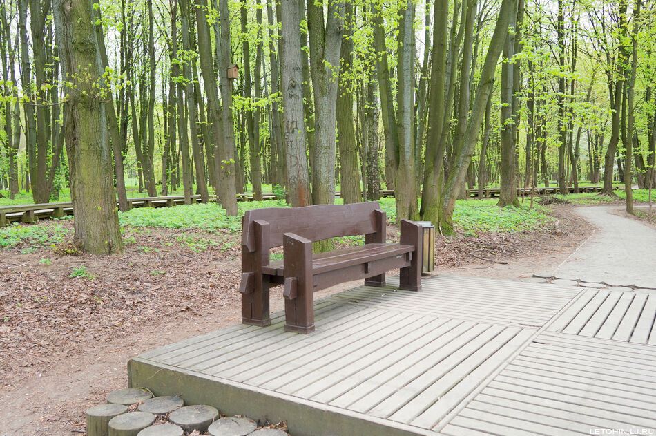 Потрясающий парк Рике в Тбилиси