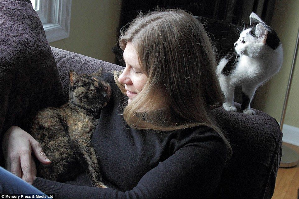 Трогательные фото последних мгновений жизни животных с их хозяевами