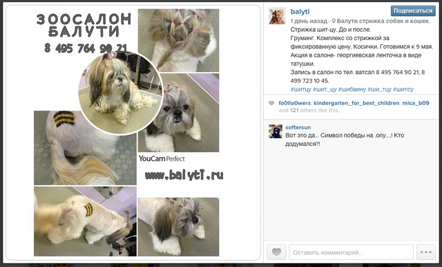 Грани "русского мира": в Москве собакам наносят тату цвета георгиевской ленты