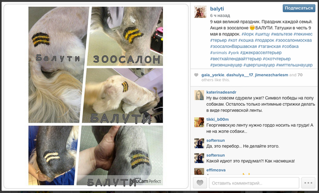 Грани "русского мира": в Москве собакам наносят тату цвета георгиевской ленты