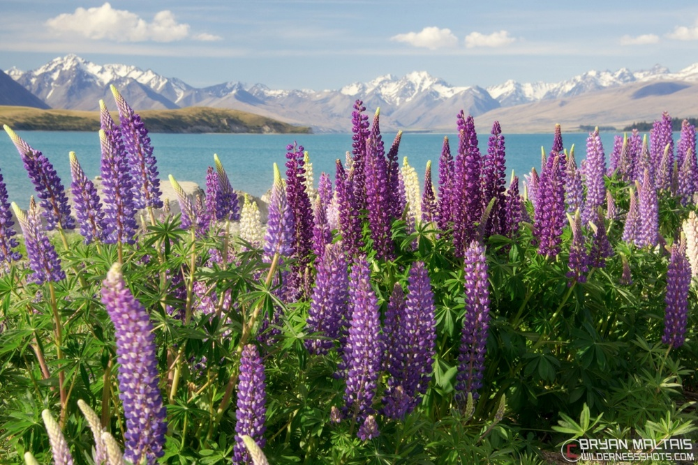 Великолепие природы: как выглядят 10 самых счастливых стран мира