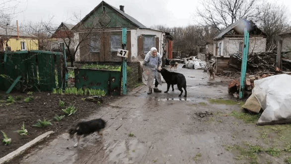 Душераздирающее видео из Песок: "без сына не уеду, с ним – неподъемная"