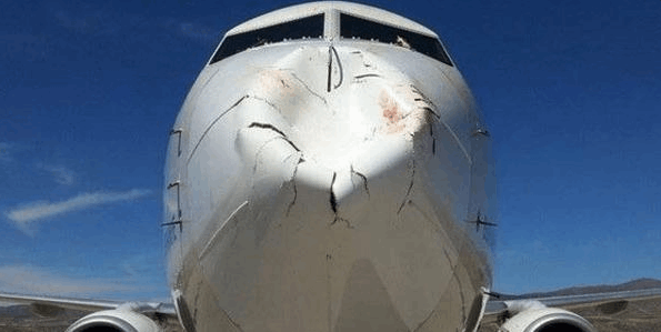 Птицы в полете "разбили" нос тяжелого "Боинга": фотофакт