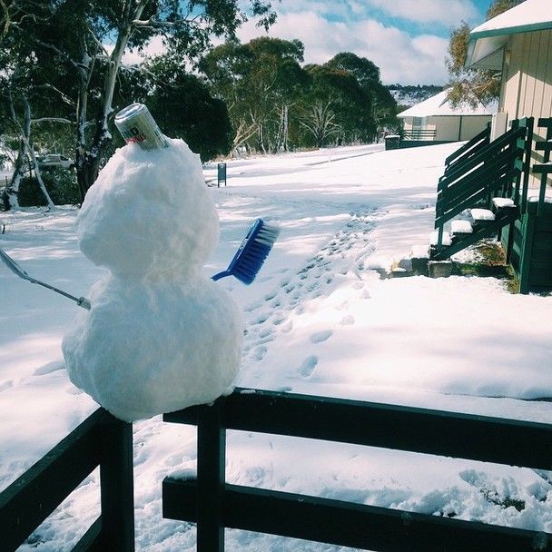 Зима-лето! Австралию завалило снегом: удивительные фото