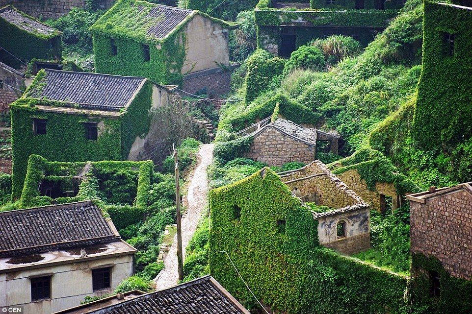 Цветущая красота: заброшенная деревня в Китае, где природа взяла верх