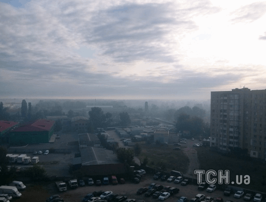 Дым в Киеве: неизвестные подожгли лес возле Быковни