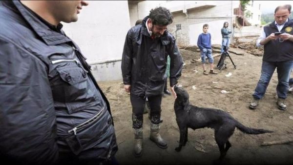 Бывший футболист "Динамо" помог в ликвидации наводнения в Грузии