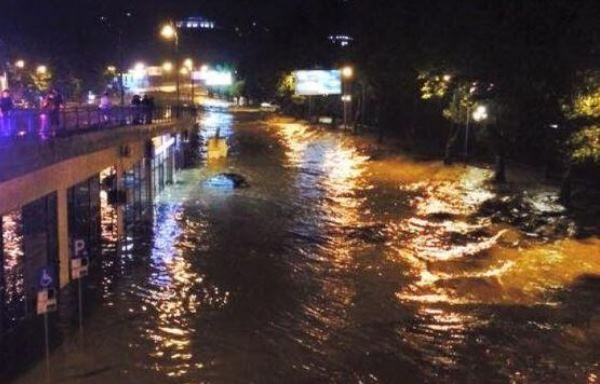 Тбилиси сегодня: десять погибших, по улицам плавают крокодилы и бродят львы