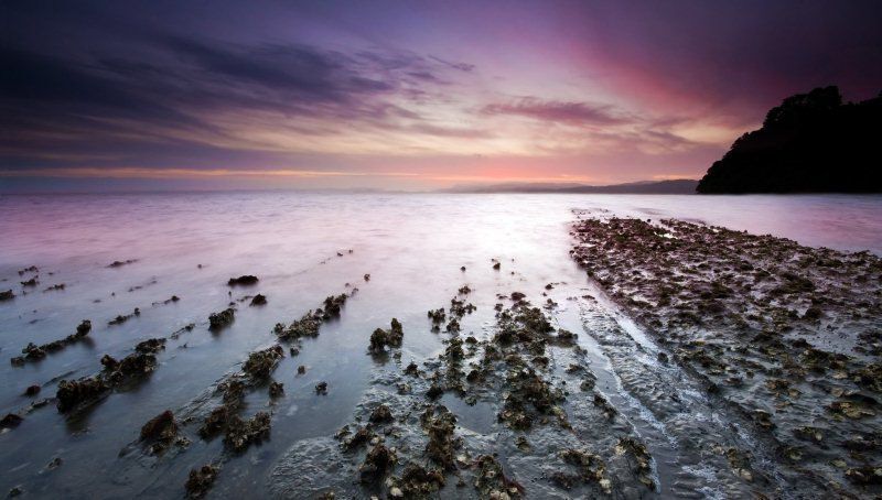 Вода, которая лечит: исцеляющая сила Мертвого моря