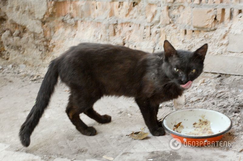 Один день в аду: опубликованы свежие фото с передовой