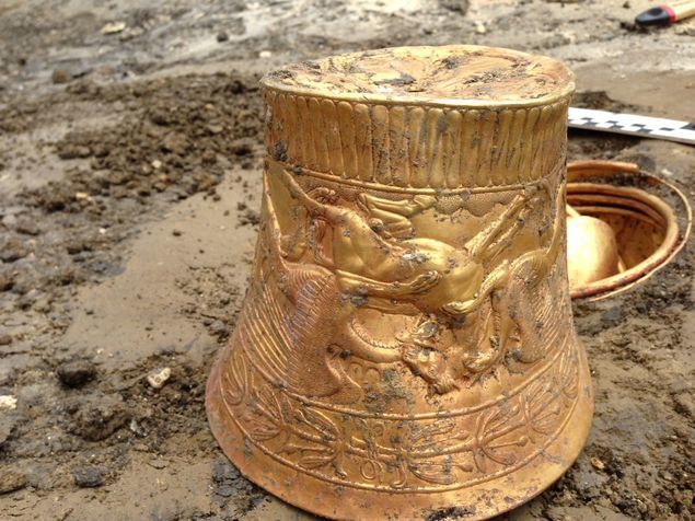 Археологи нашли в скифском кургане золото, опиум и коноплю: фотофакты