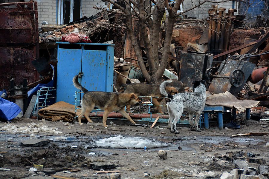 Что сделали оккупанты с Дебальцево: жуткие фото города-призрака