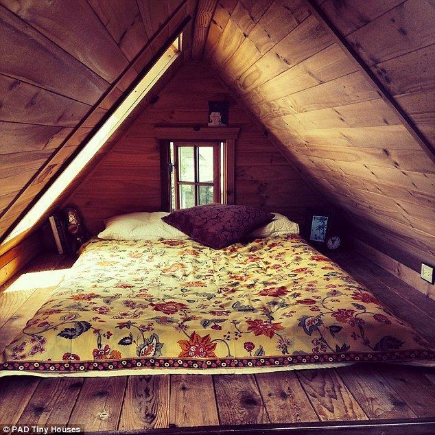 В США женщина 11 лет счастливо живет в уютном домике на 8 кв.м