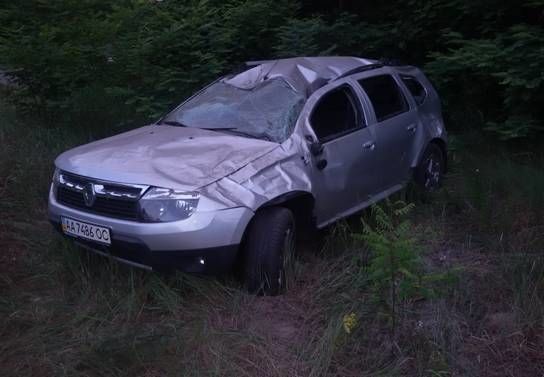 На Київщині лось перебігав дорогу: сталося масштабне ДТП 