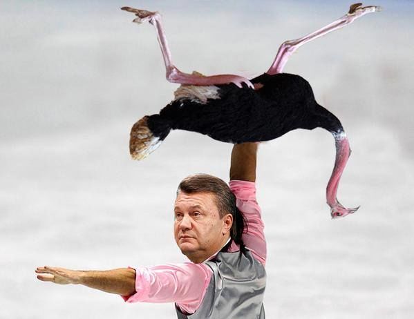 Вечное сияние чистого страуса: соцсети взорвались "перлами" Януковича