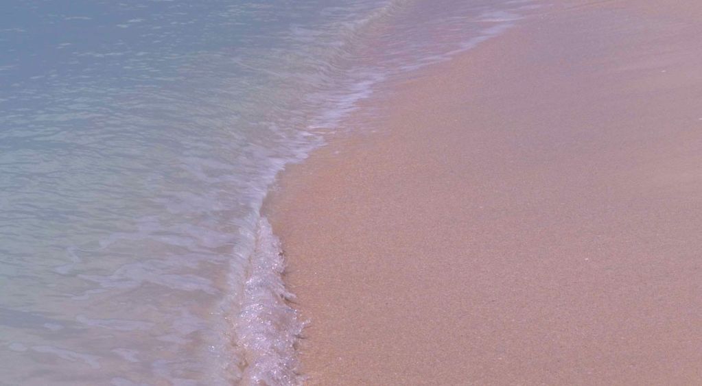 Чудеса природы: 10 потрясающих пляжей с розовым песком