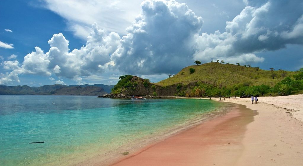 Чудеса природы: 10 потрясающих пляжей с розовым песком