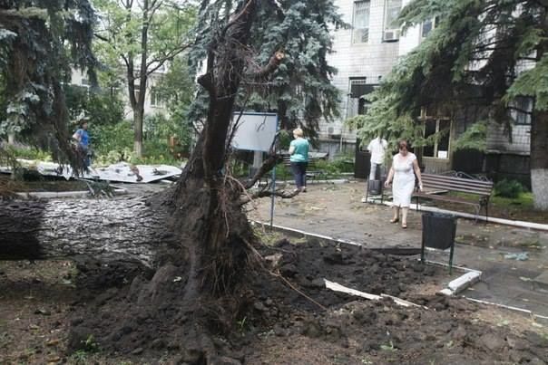 В окупованому Луганську ураган вирвав дерева з корінням: Відеофакт