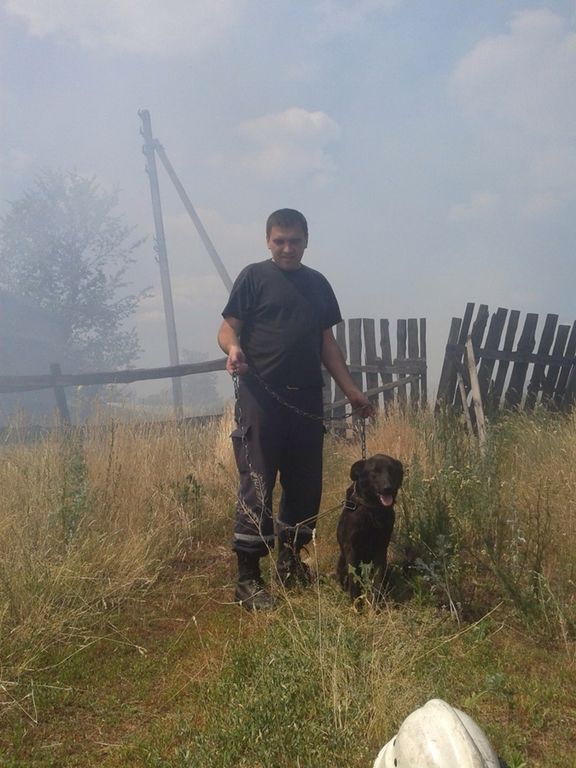 На Киевщине спасли собаку, попавшую в огненную ловушку