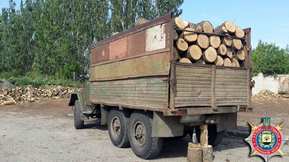 На Донбассе чиновники зарабатывали до 10 млн грн в месяц на незаконной вырубке леса