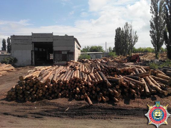 На Донбасі чиновники заробляли до 10 млн грн на місяць на незаконній вирубці лісу