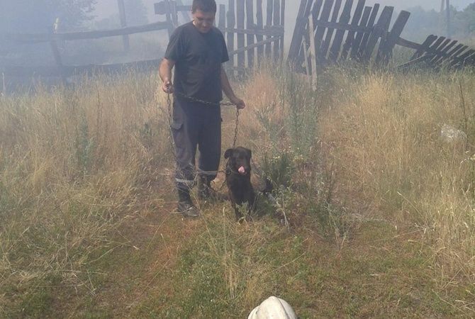 На Киевщине спасли собаку, попавшую в огненную ловушку