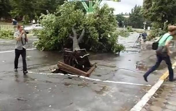 В оккупированном Луганске ураган вырвал деревья с корнями: опубликованы фото и видео