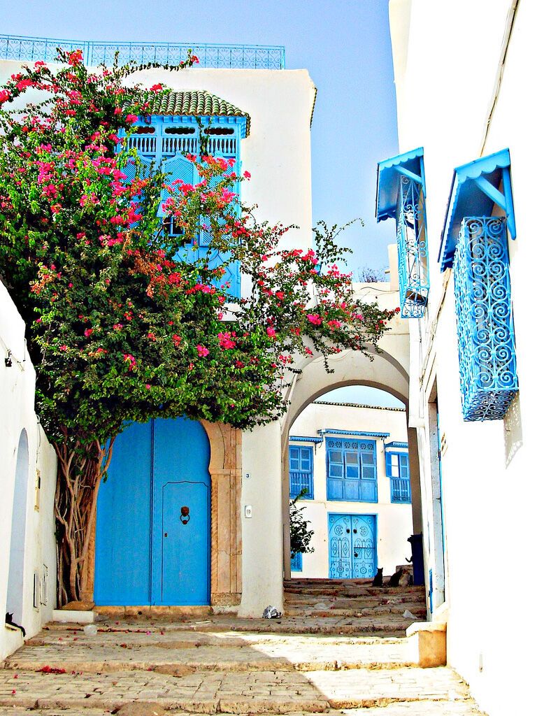 Деревня Сиди бу Саид, Тунис
