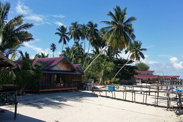 Остров кошек и длинных пирсов