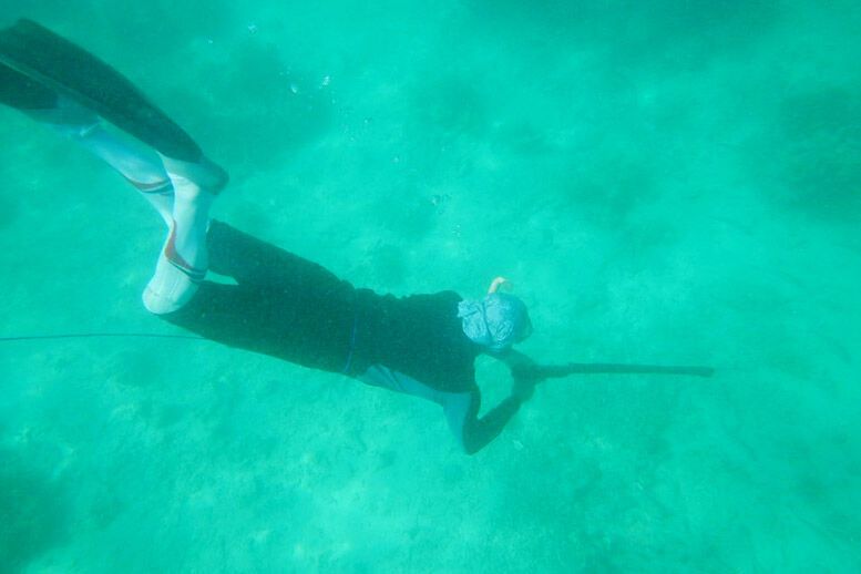 Остров кошек и длинных пирсов