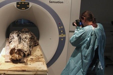 Французы нашли мумию миледи