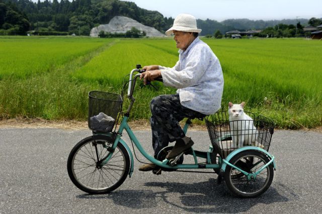 Трогательная фотоистория дружбы бабушки и кота
