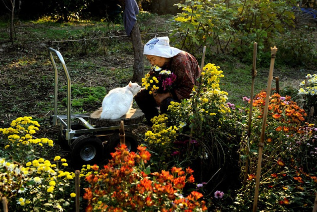 Трогательная фотоистория дружбы бабушки и кота