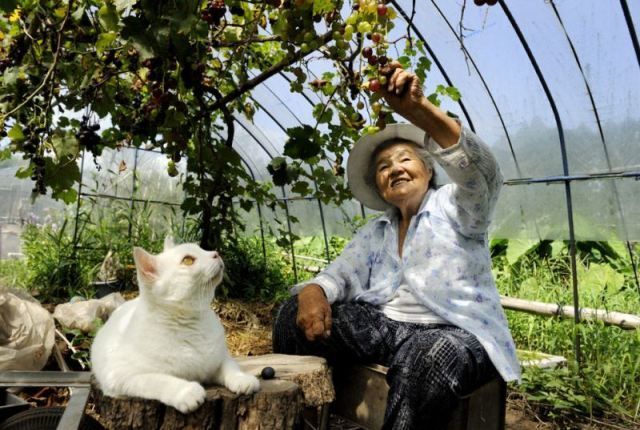Трогательная фотоистория дружбы бабушки и кота