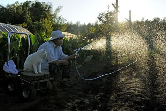Трогательная фотоистория дружбы бабушки и кота