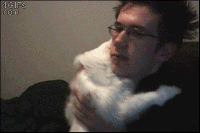 10 любвеобильных котов, которым срочно нужны обнимашки