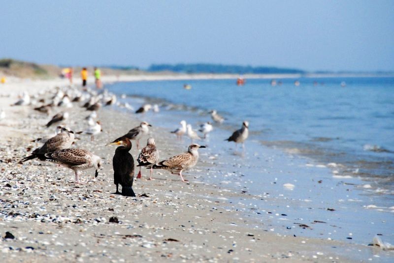 Замість Криму: топ-5 місць для морського відпочинку в Україні