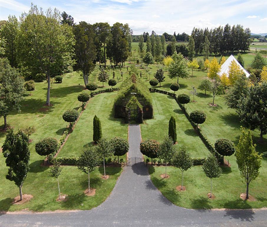 Новозеландец вырастил сказочную церковь из деревьев