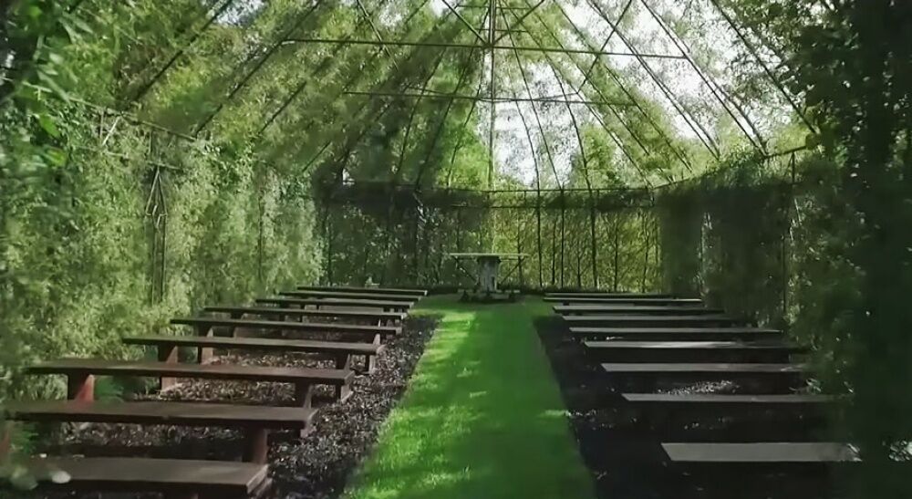 Новозеландец вырастил сказочную церковь из деревьев