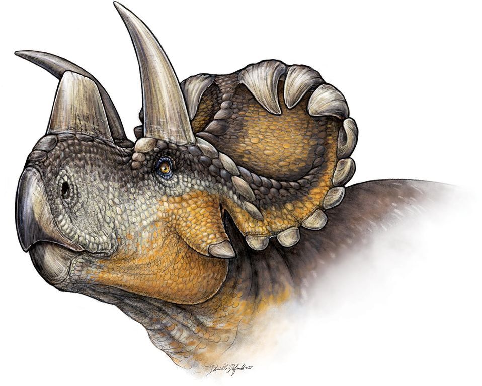 Палеонтологи обнаружили нового "крючковатого" динозавра