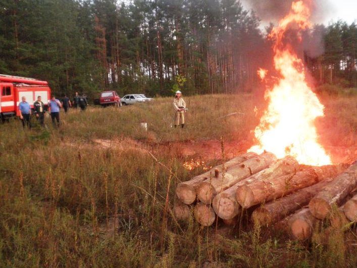 В Черниговской области обнаружили африканскую чуму свиней