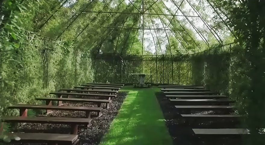 Уникальная "живая" церковь из растущих деревьев