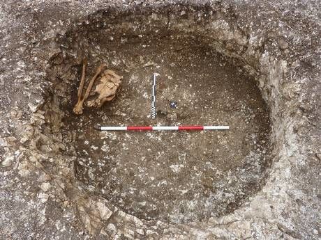 В Англии археологи раскопали останки "мифических животных": опубликованы фото