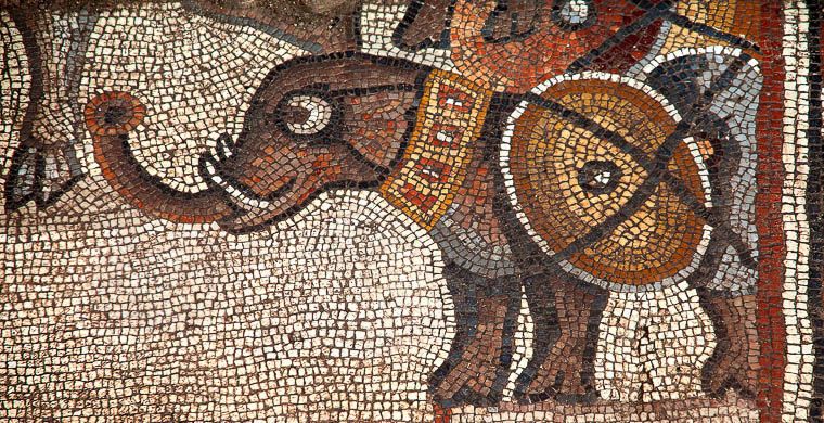 В Израиле нашли уникальную мозаику со странными слонами: опубликованы фото